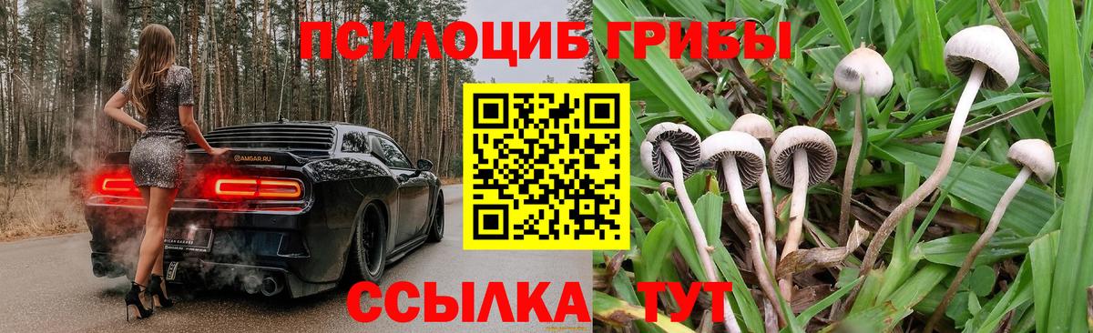 Майский  Галлюциногенные грибы ЛСД  Вход с VPN 